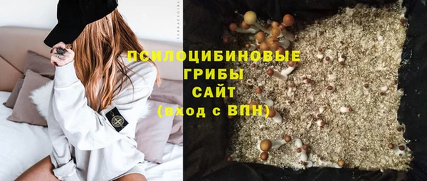 соль ск Алексеевка