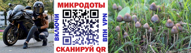 Галлюциногенные грибы прущие грибы  магазин продажи наркотиков  Буй 
